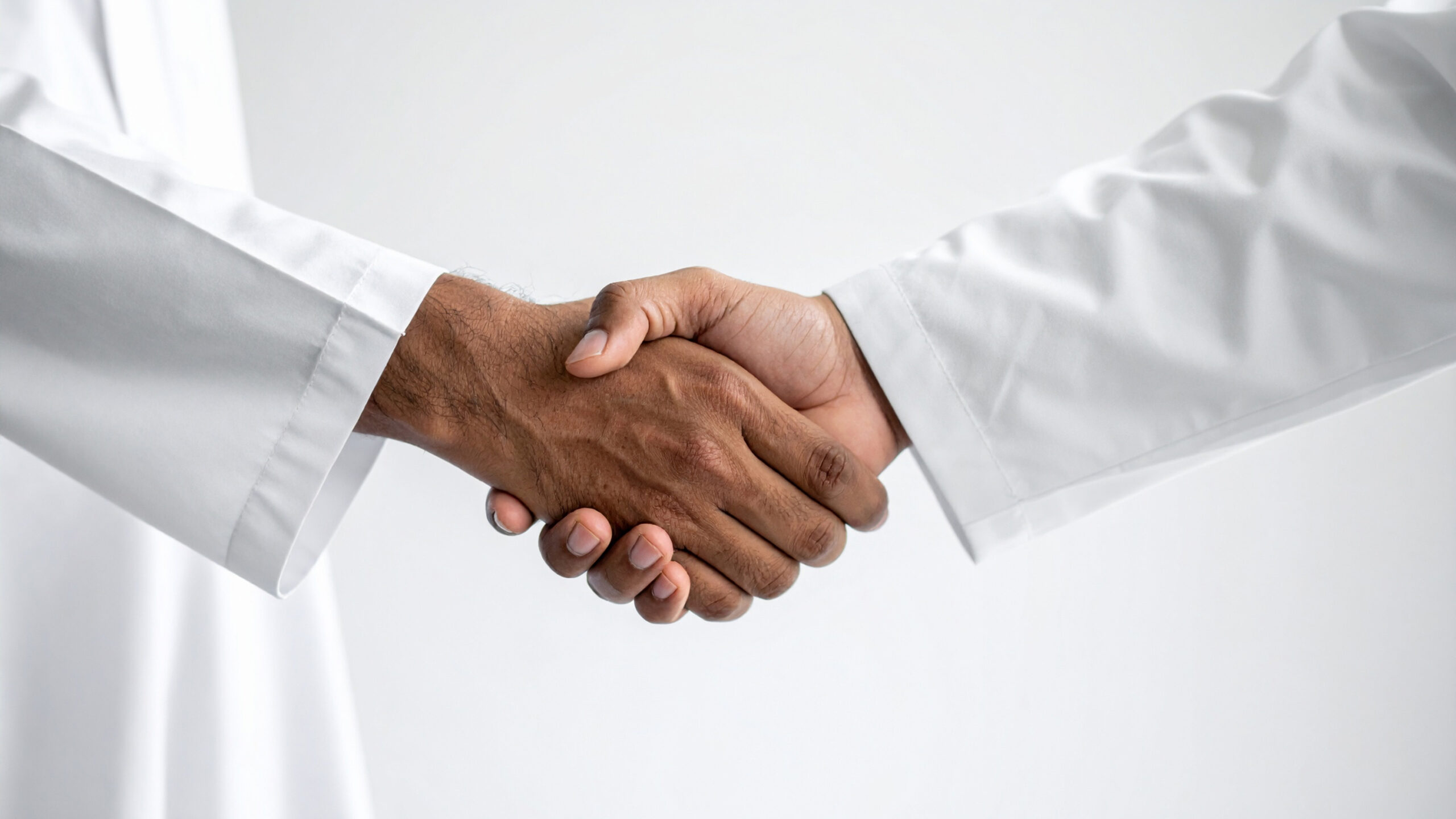 Professional handshake